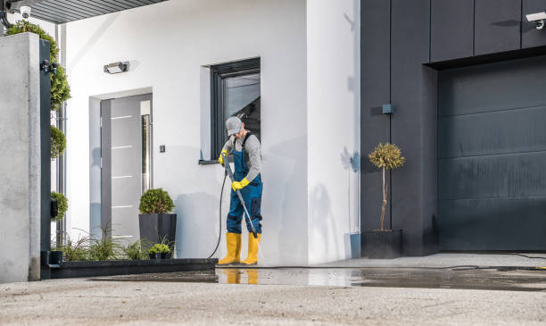 Best Dumpster Area Cleaning  in Rockwood, MI